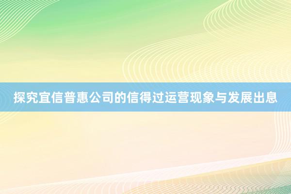 探究宜信普惠公司的信得过运营现象与发展出息